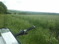 Overlooking the local countryside from the bridleways